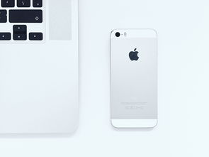 vivo S50系列影像再升级，全系索尼IMX882主摄+大底潜望长焦，重塑旗舰级移动影像体验