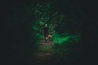 虚幻引擎5赋能，赛博朋克2官宣多人在线模式，夜之城将迎来怎样的革命？